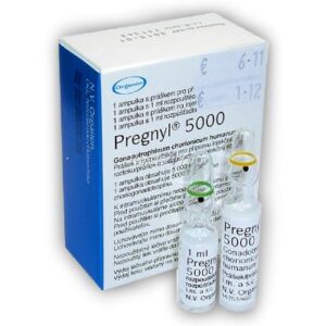 Pregnyl (HCG)